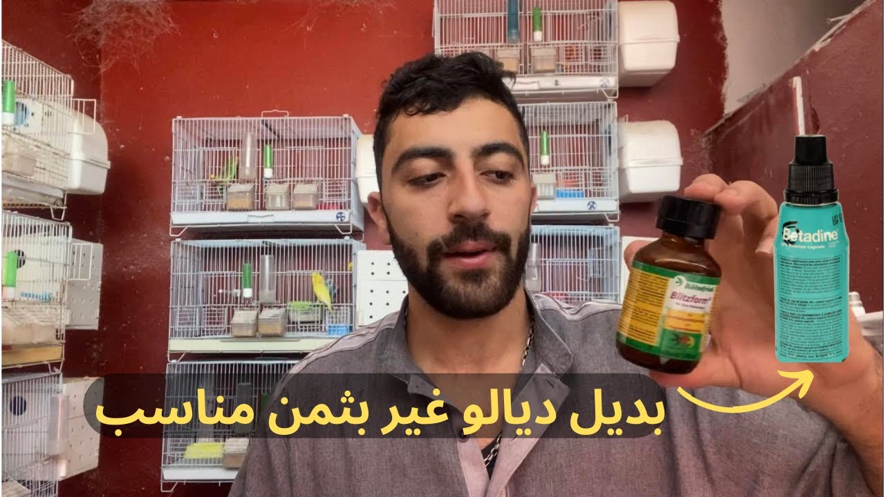 اجي تشوف بديل بليدز فورم وغير بثمن مناسب