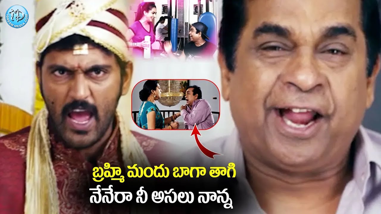 బ్రహ్మి మందు బాగా తాగి రచ్చ రచ్చ | Brahmanandam, Ajay Claimax Scene | iDream Samacharam