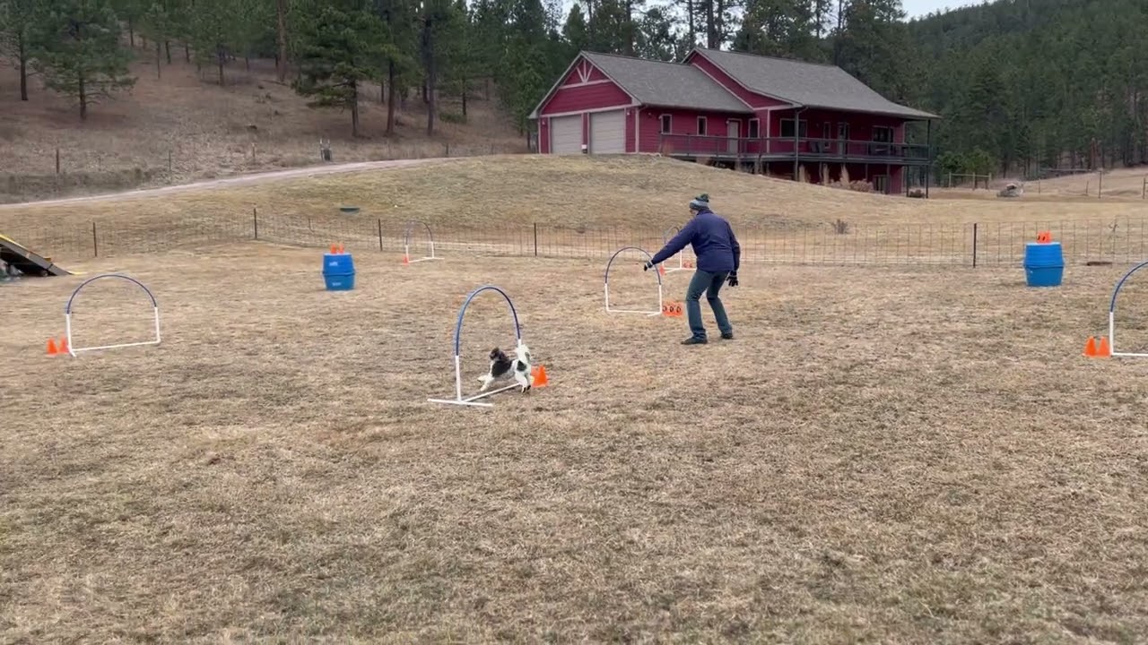 Zani, Happy Elite Grounders, Rd. 2, 2926