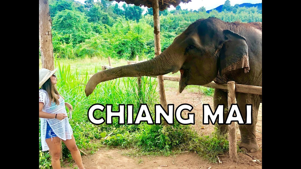 CHIANG MAI E CHIANG RAI TAIL&Acirc;NDIA