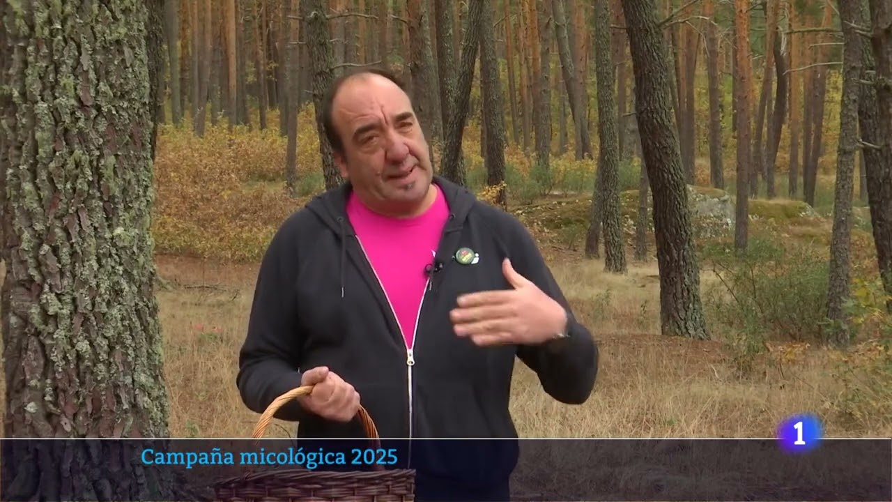 27-10-2025_CYL_La campaña micológica otoñal de 2025 empieza con escasez de setas