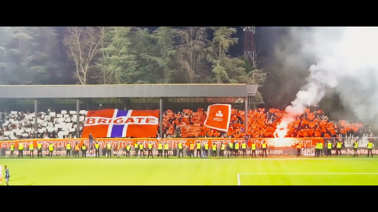 Не бој се ти Звездо - БРИГАТЕ ПАНЧЕВО! 