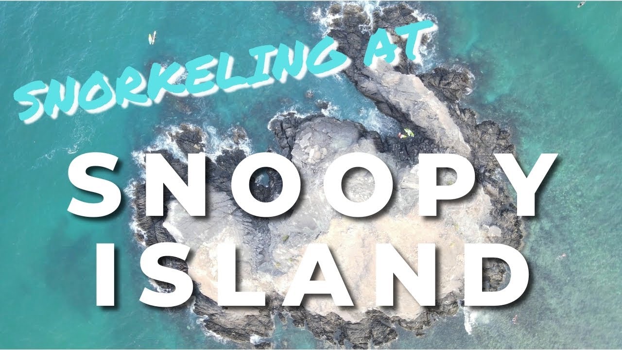 Snorkeling at Snoopy Island