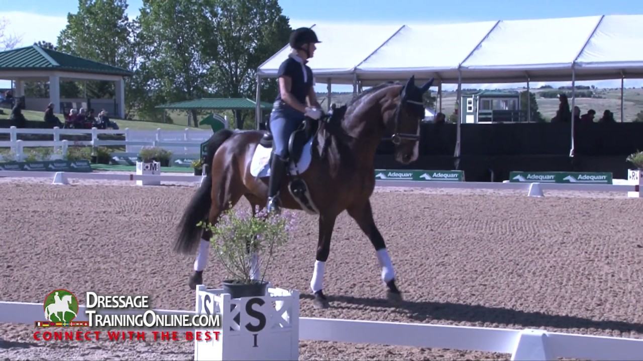 Dressage judge and trainer Axel Steiner training Second Level Test One