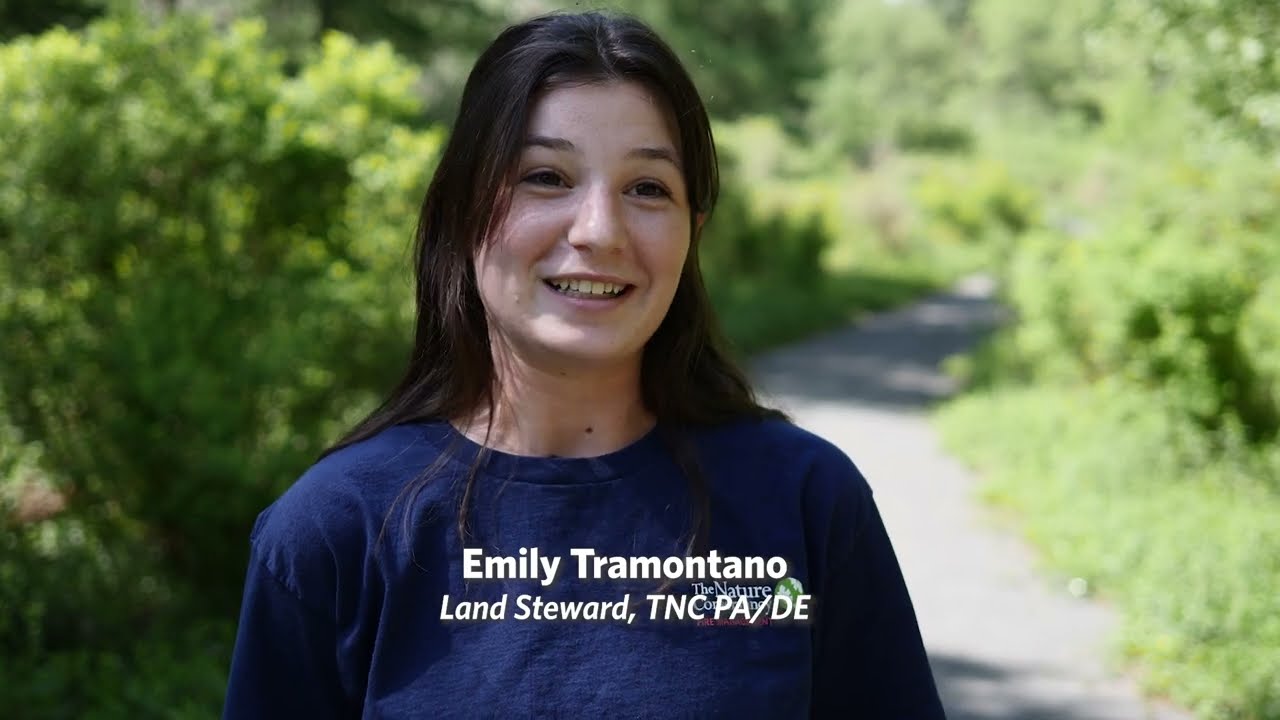 Creating Healthy Resilient Forests in Pennsylvania