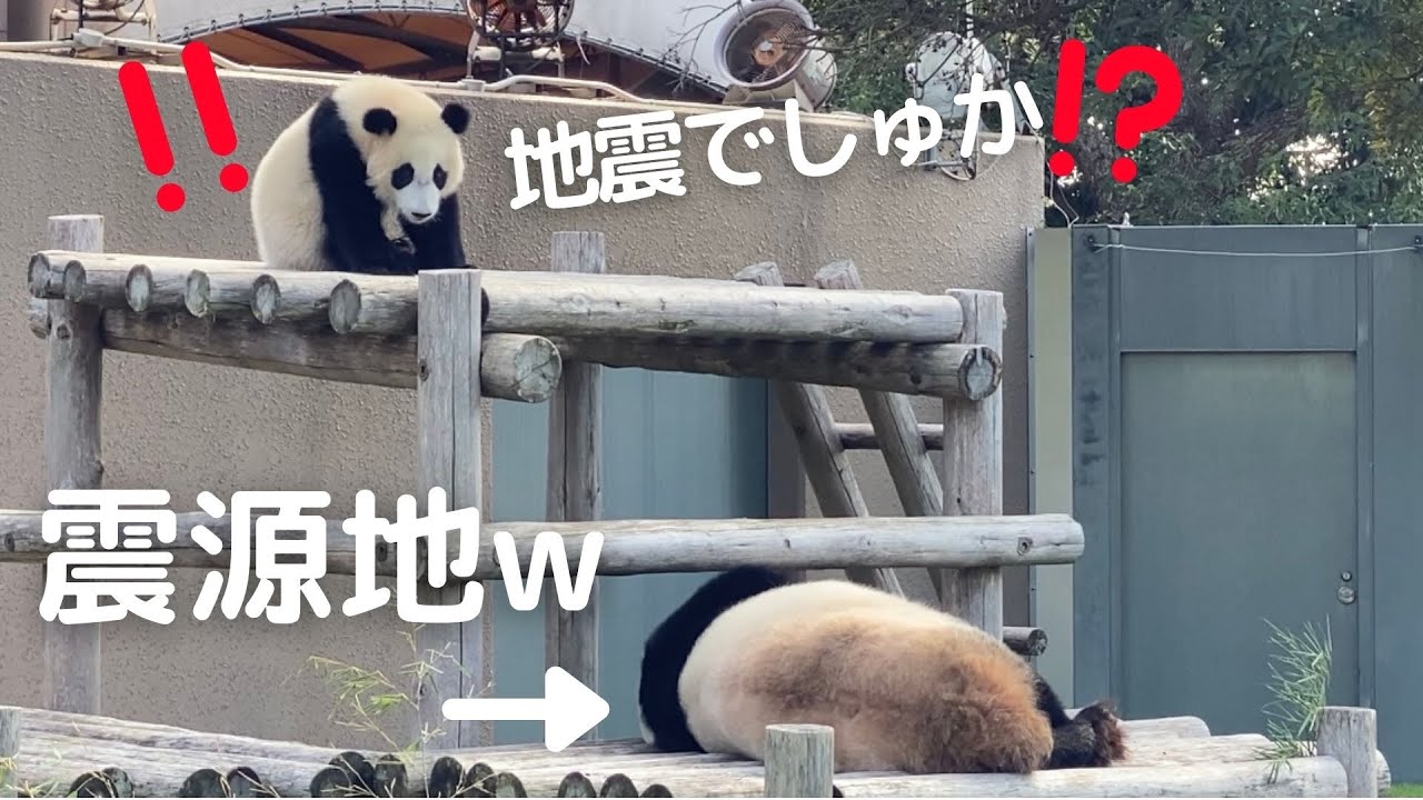 びっくり飛び起きる楓浜のリアクションが...😍らうちゃん寝ててもやってます😂