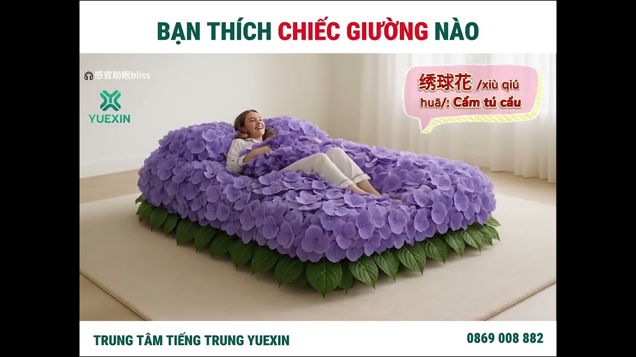 Khi mọi chất liệu đều có thể làm giường P1