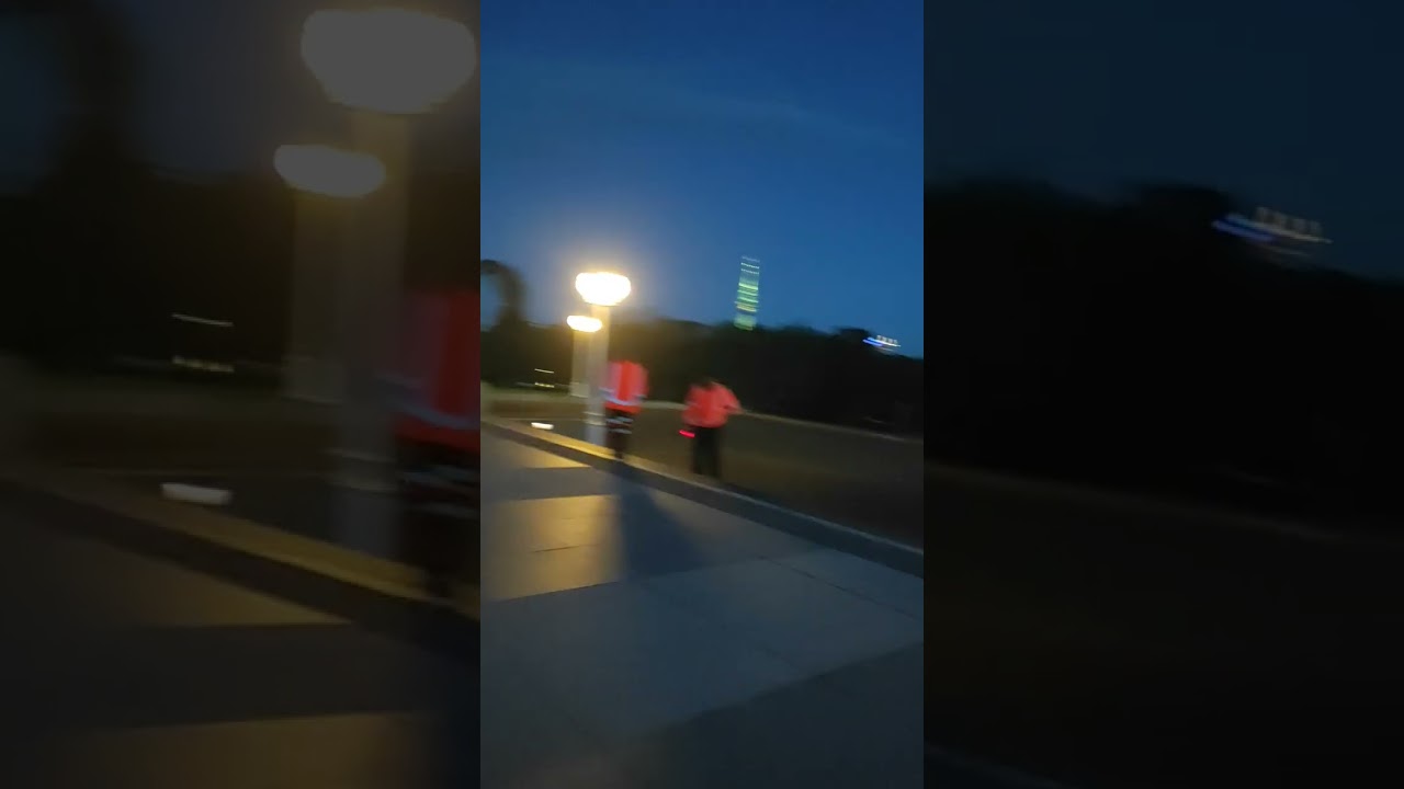 Cycling past Auckland Museum through Domain on morning commute.(4)