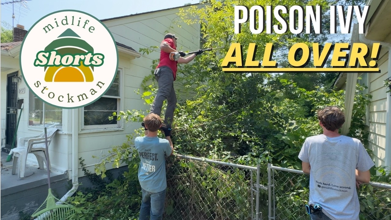 У этого дома был задний двор, который спасти не удалось...