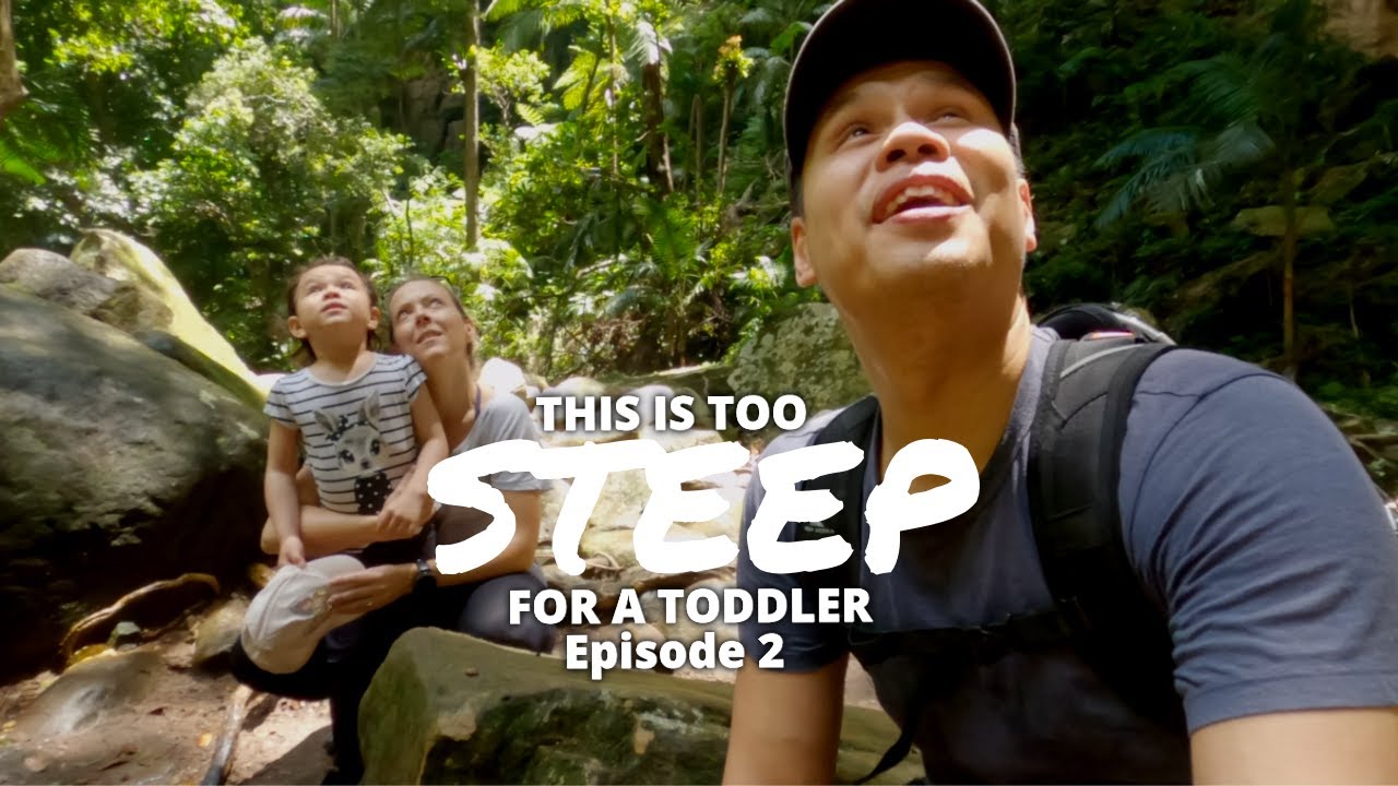 WORTH EVERY STEP - Gap Creek Falls Watagans 2020