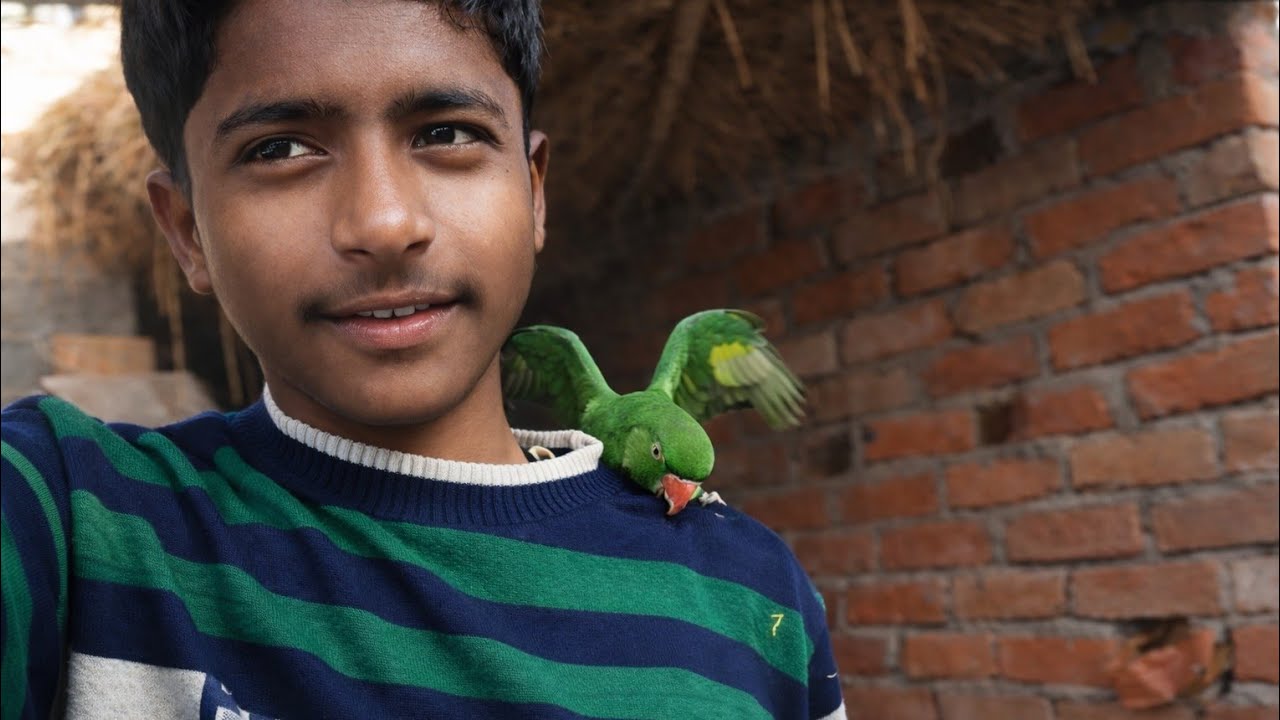 🦜 “Mera Chhota Dost Kandhe Par 😍”