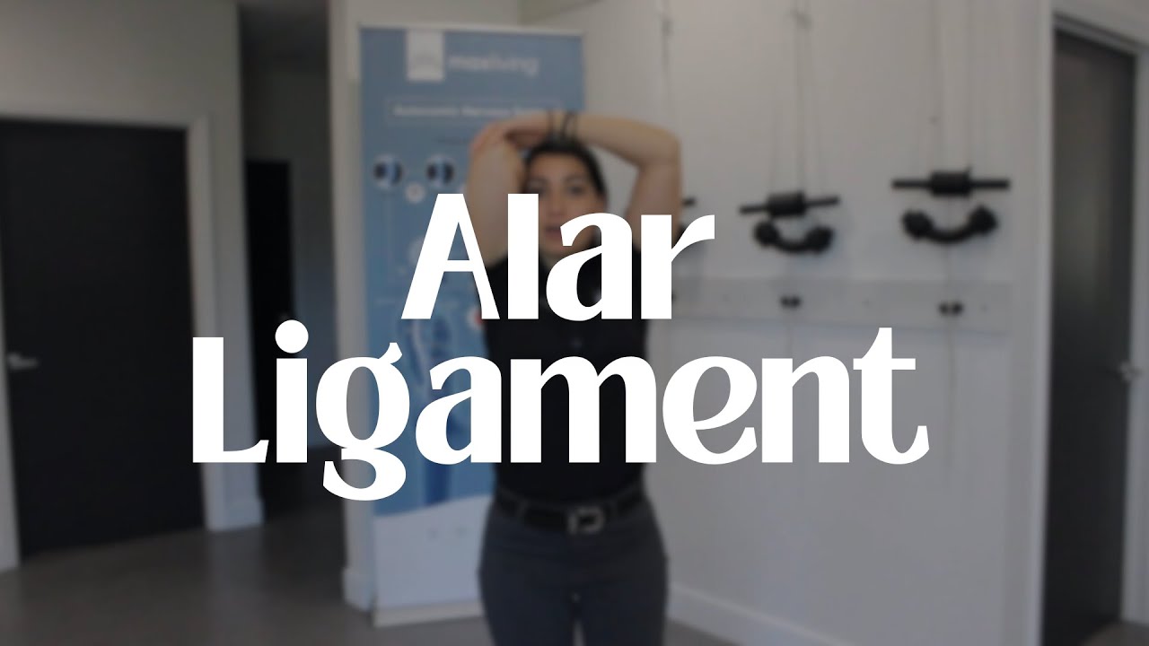 Alar Ligament