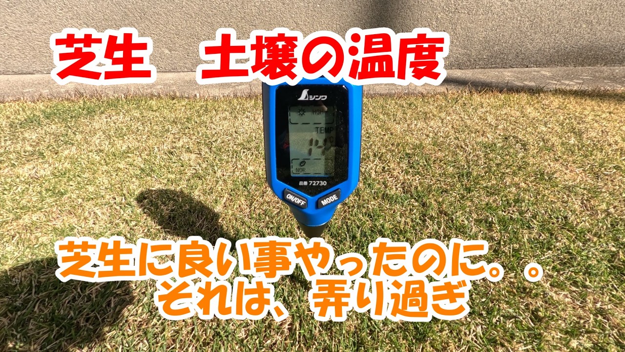 芝生　土壌の温度