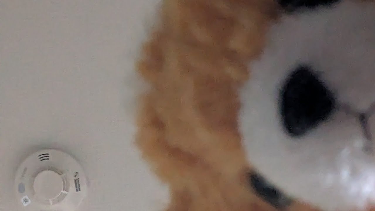 レンズに向かってタッピングをしたりのASMR