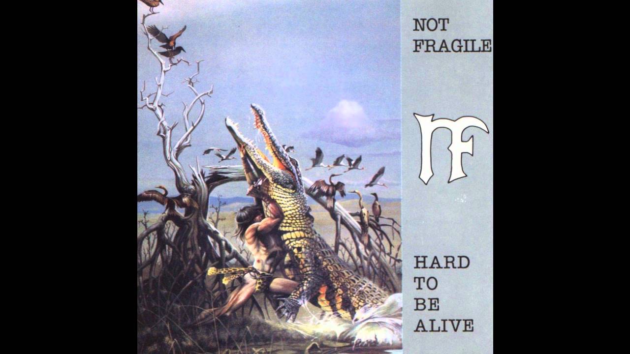 Not Fragile - One way to glory