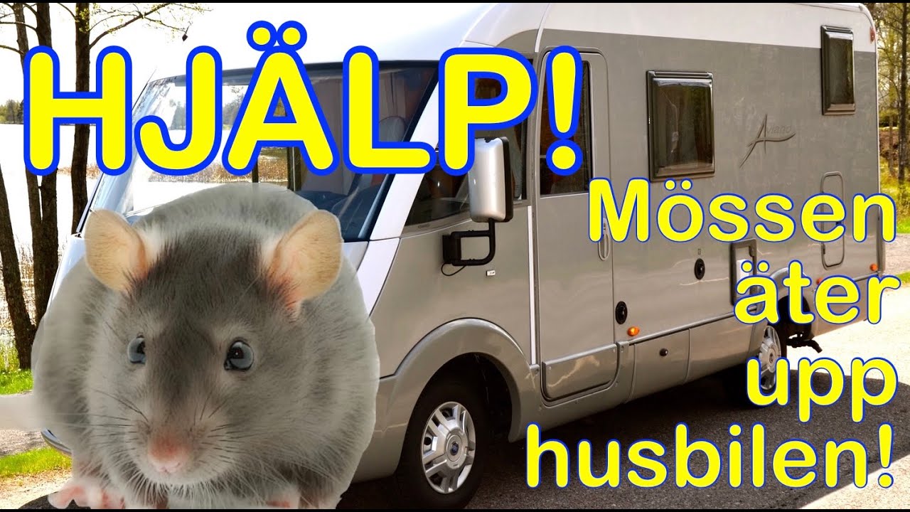 Hjälp, mössen tar över min husbil!