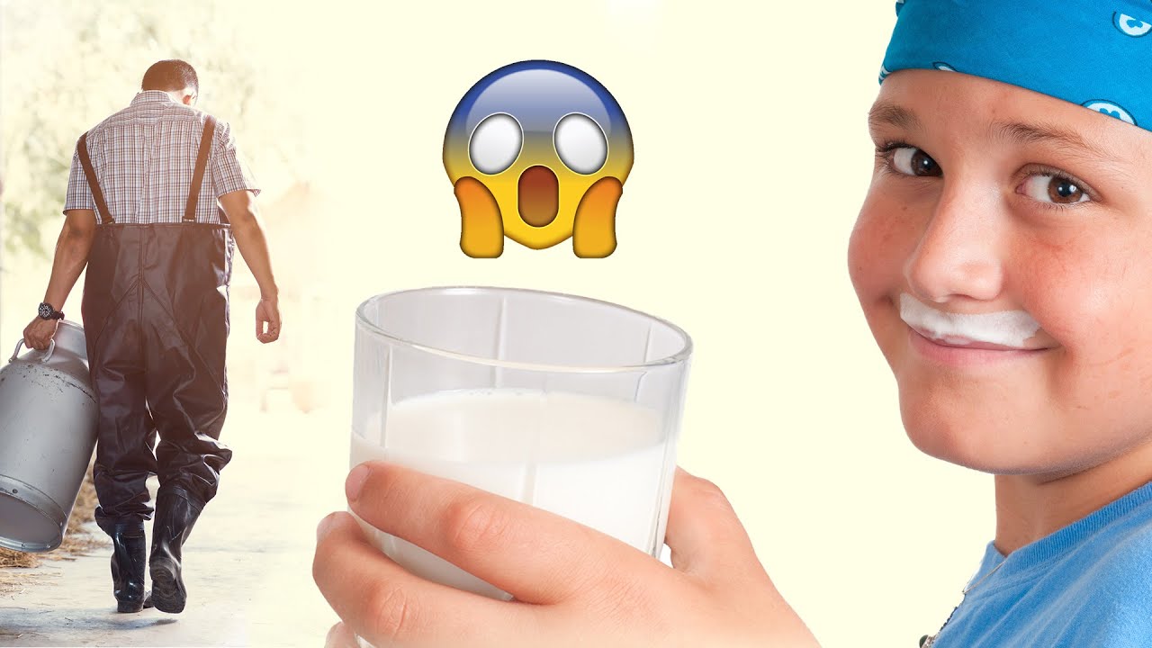 PLANT vs DAIRY MILK: Comprehensive Overview of the Facts