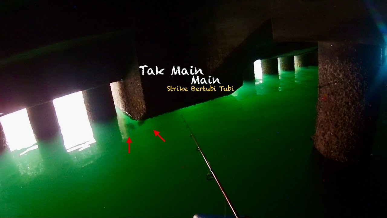 Tak Main Main - Ini Dia Lubuk Ikan Yang Paling Di Cari Pemancing   #77