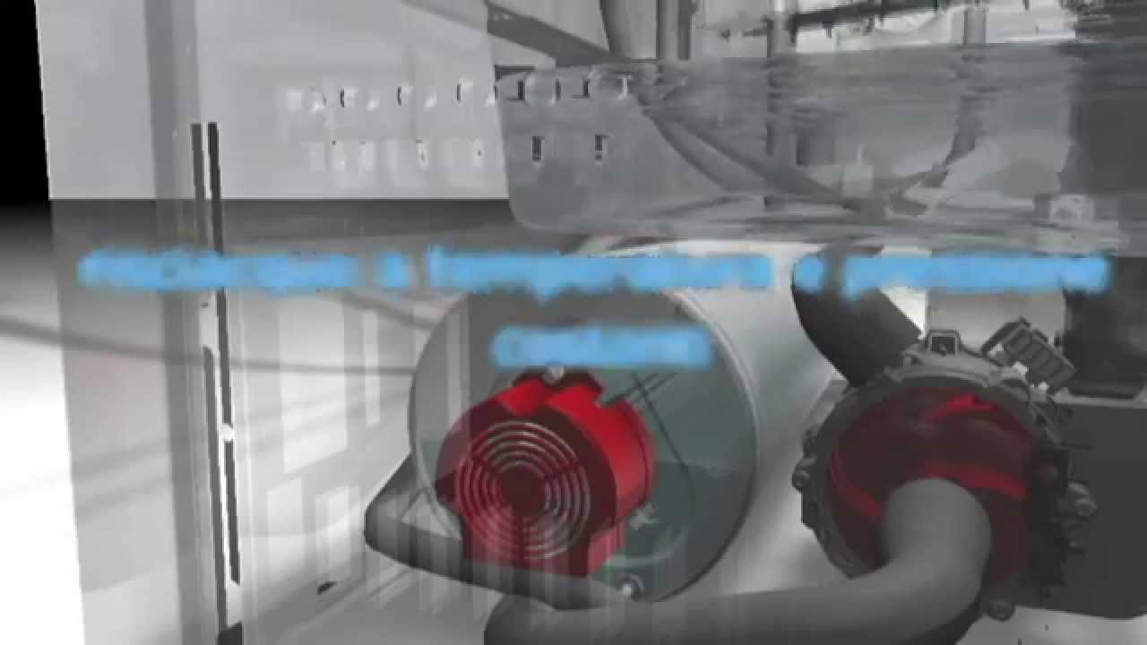 Elettrobar máquina lavavajilla: funcionamiento