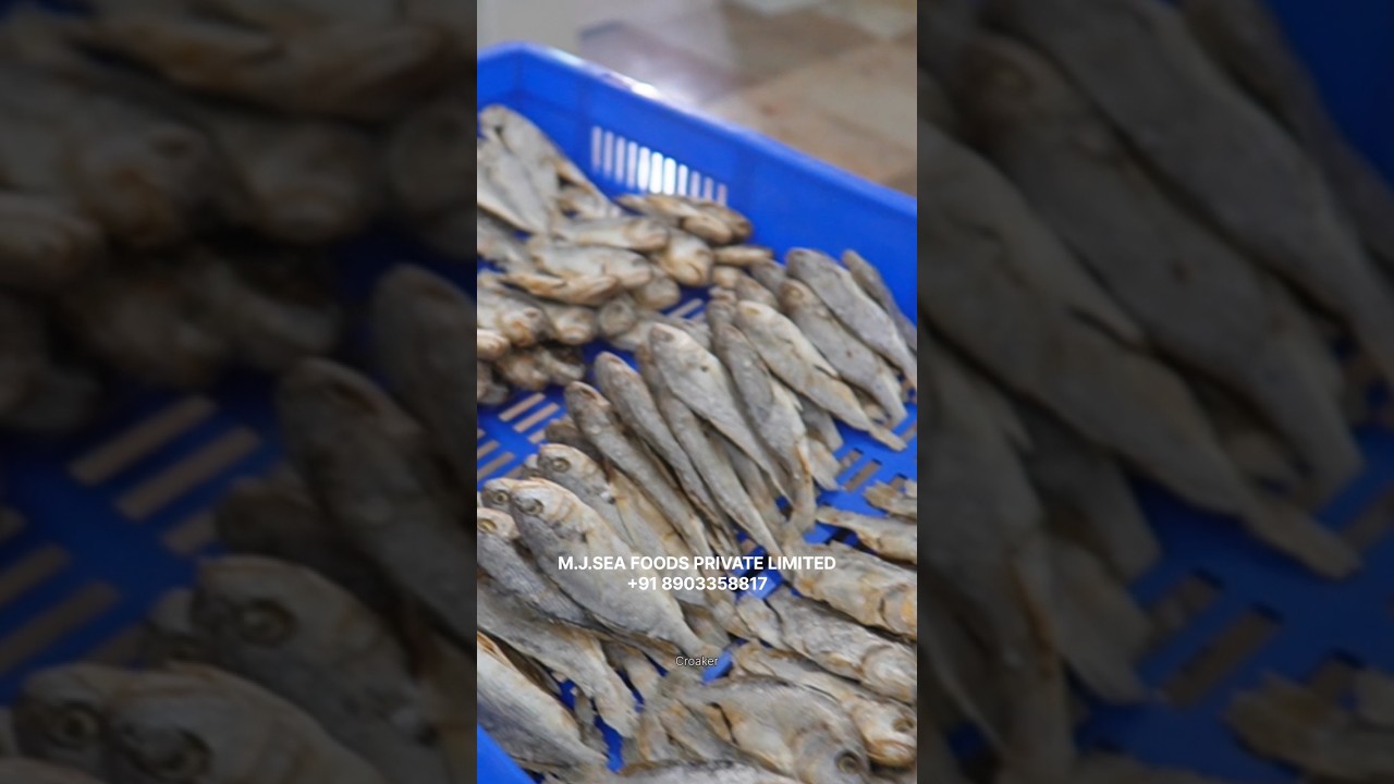 ഉണക്ക മീൻ | dry fish factory | dry fish market #dryfishmarket #dryfish #dryfishrecipes