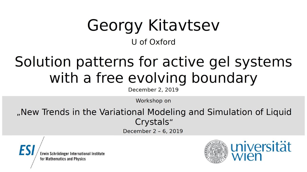 Georgy Kitavtsev - Solution patterns for active gel systems with a free evolving boundary