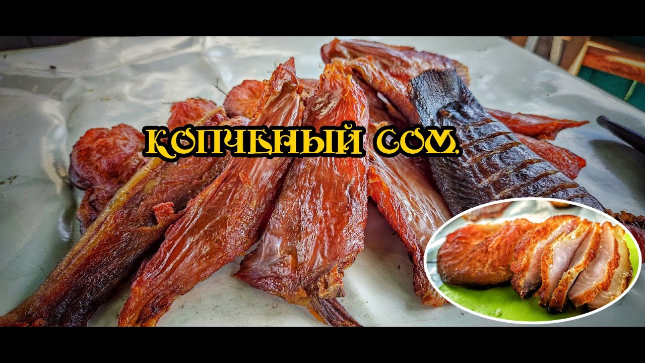 Сом холодного копчения! как быстро и вкусно закоптить рыбу в домашних условиях!!!ХК