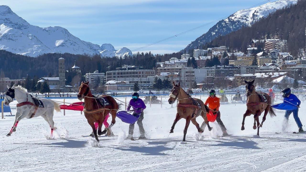 White Turf 2024 St. Moritz Skikjöring Snow Horserace 🏇 4K Switzerland