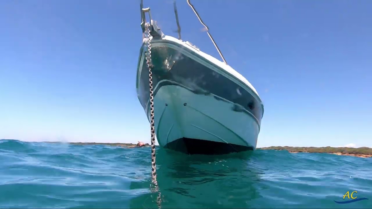 Un giorno a Torre Astura