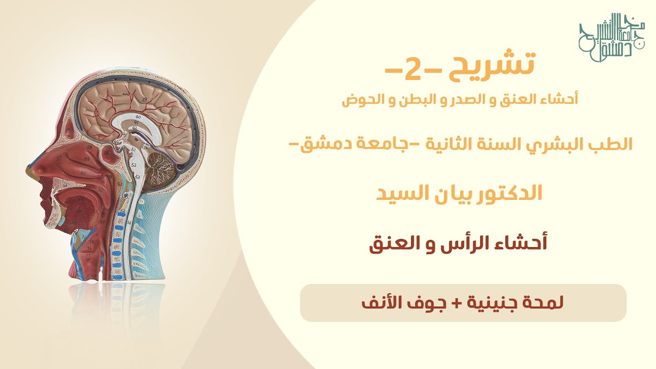 تشريح 2 | جوف الانف | د.بيان السيد