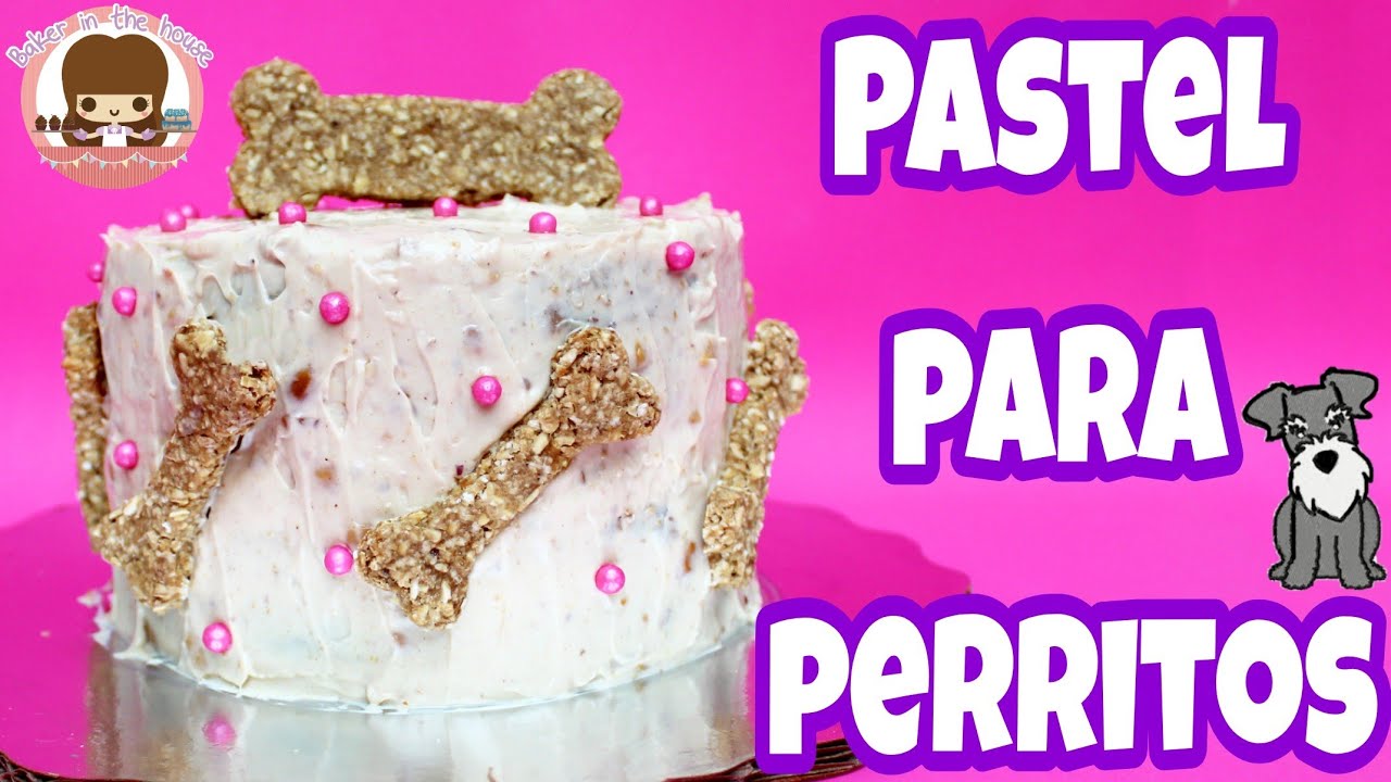 PASTEL DE ZANAHORIA Y MANZANA PARA PERRITOS