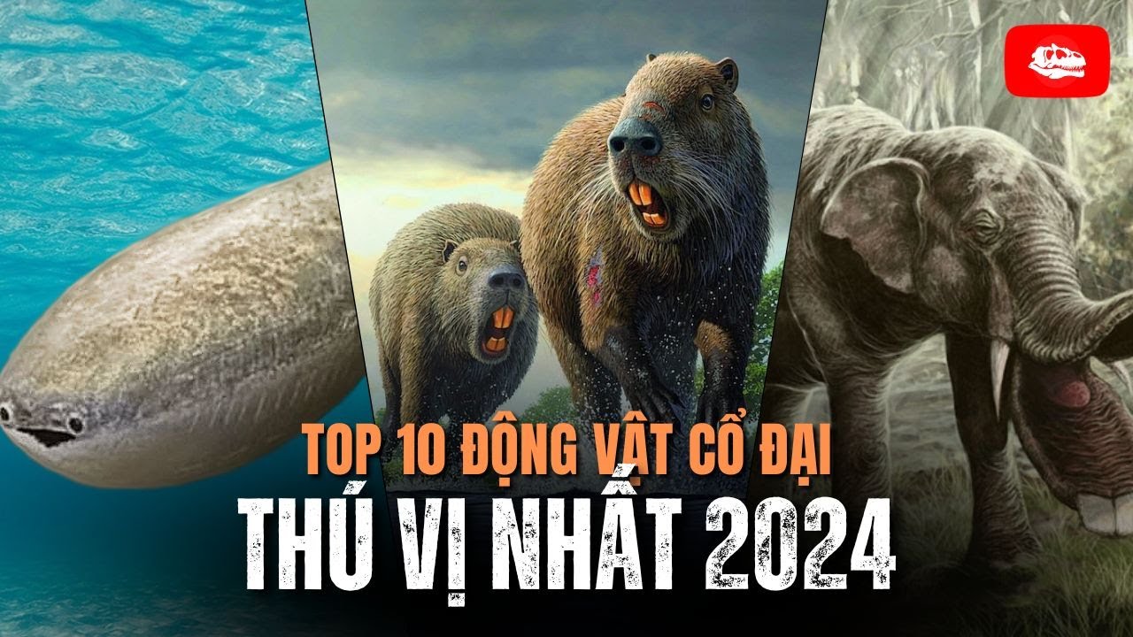 10 động vật cổ đại thú vị nhất năm 2024 | Video tổng hợp