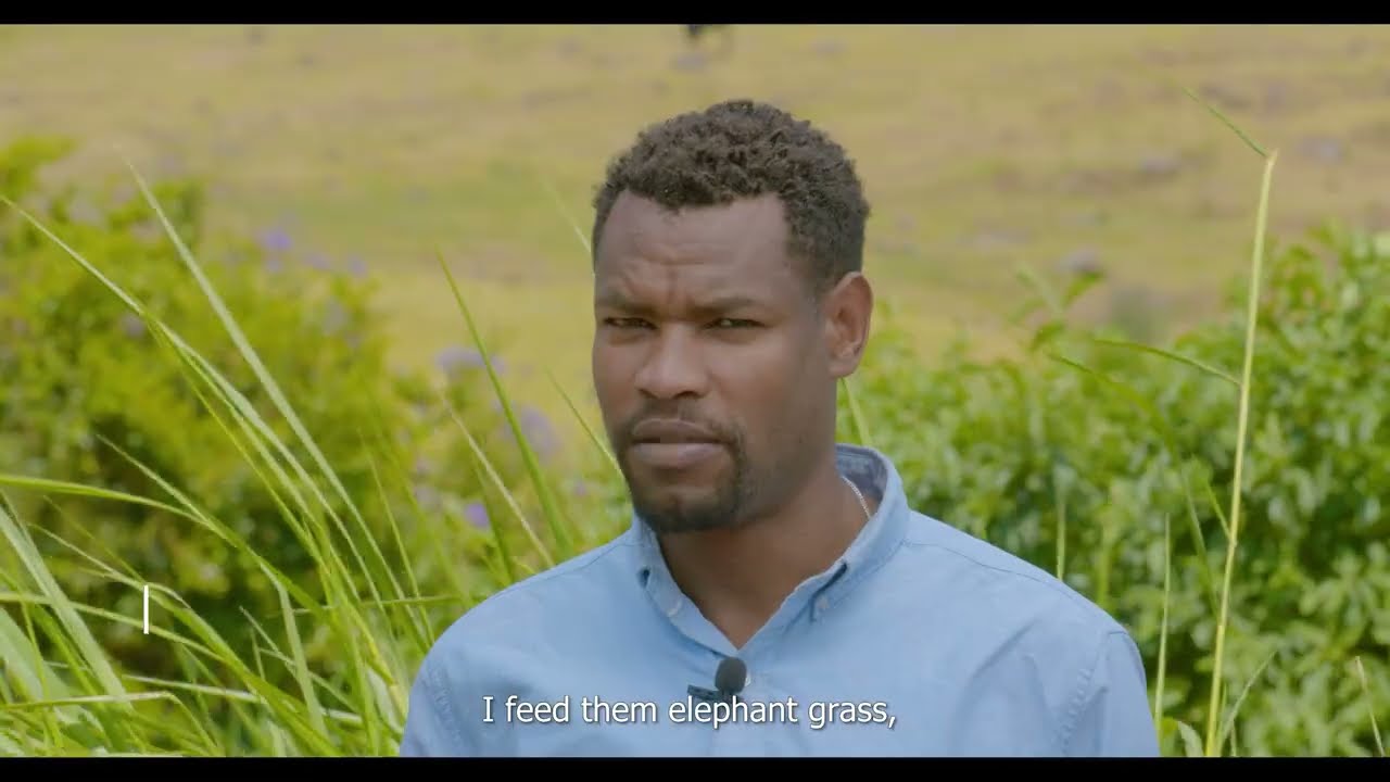 The 40th anniversary of the ILRI Forage Genebank
