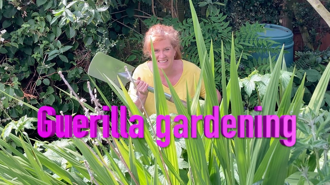 Guerilla gardening ! Using land no one else wants and growing food in it!