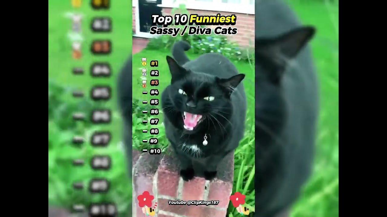 2026 Must-Watch Crazy Clips Compilation #humor #fypシ #pov #fyp #foryou