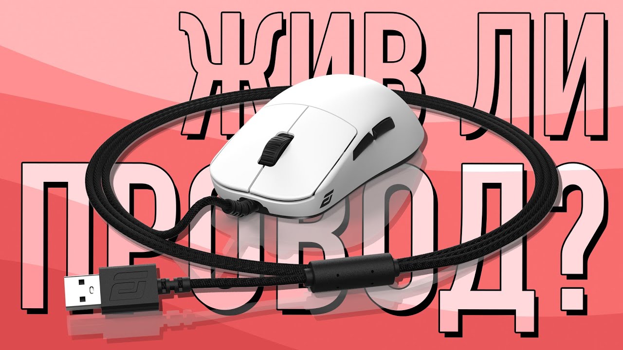 Пред-обзор Endgame Gear OP1 8K | ПРОВОД? В 2025?  (#endgame #op1 #mouse #review)