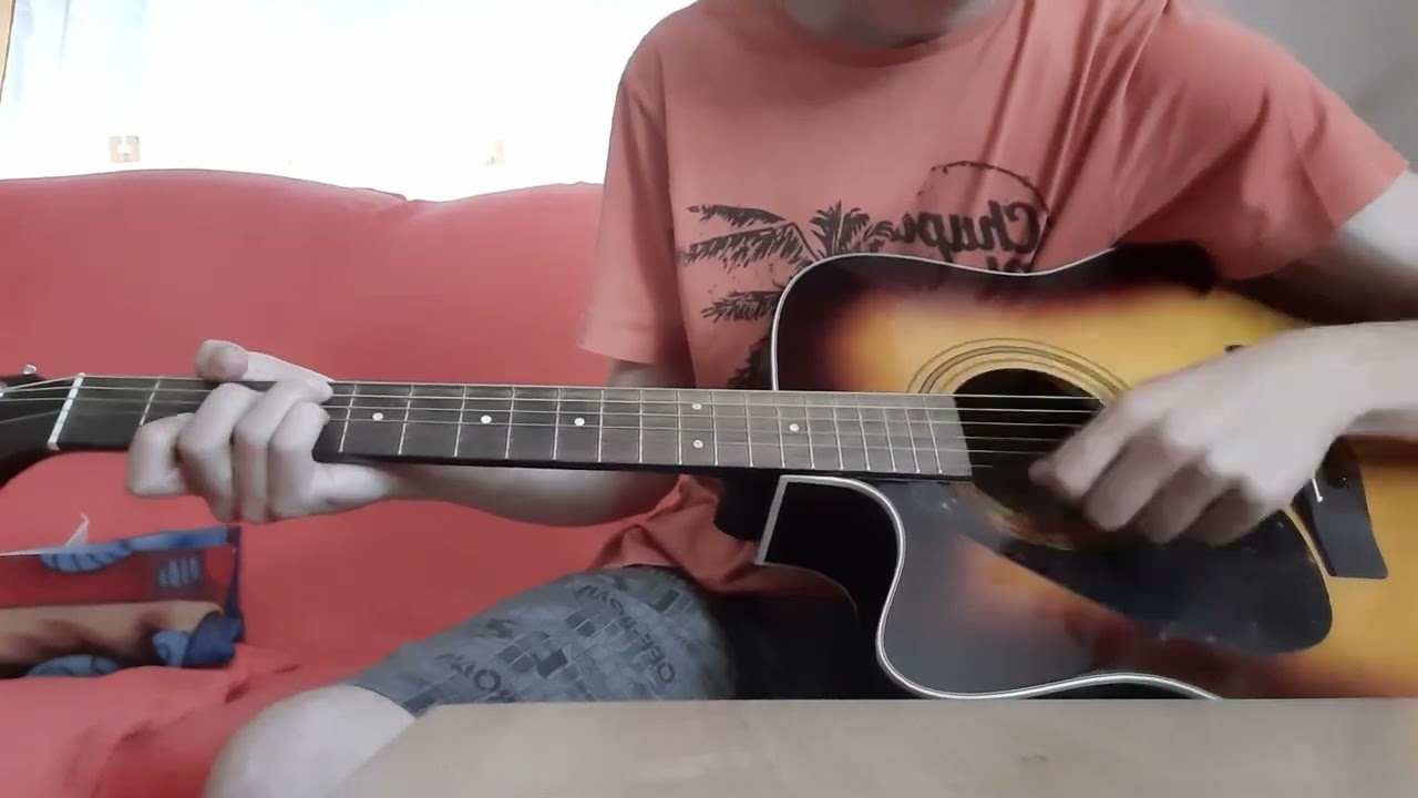 Ta sosedov Francelj (cover)  - kitara