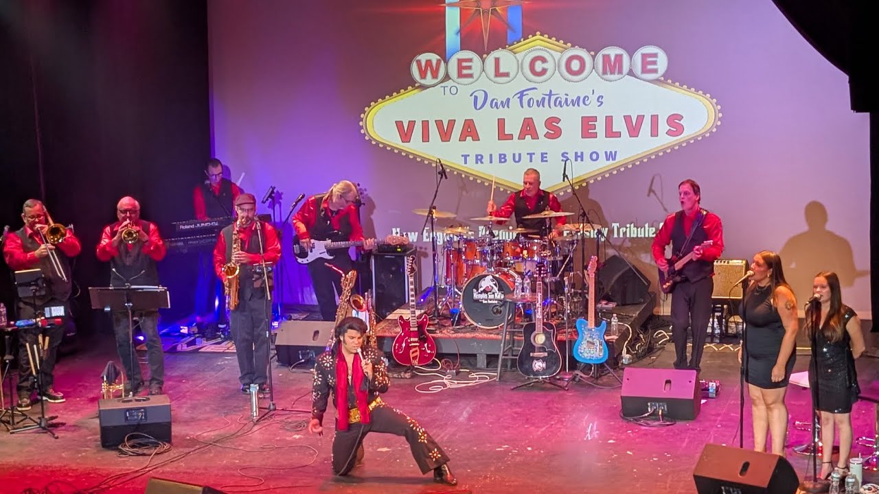 Viva las Elvis walk a mile in my shoes