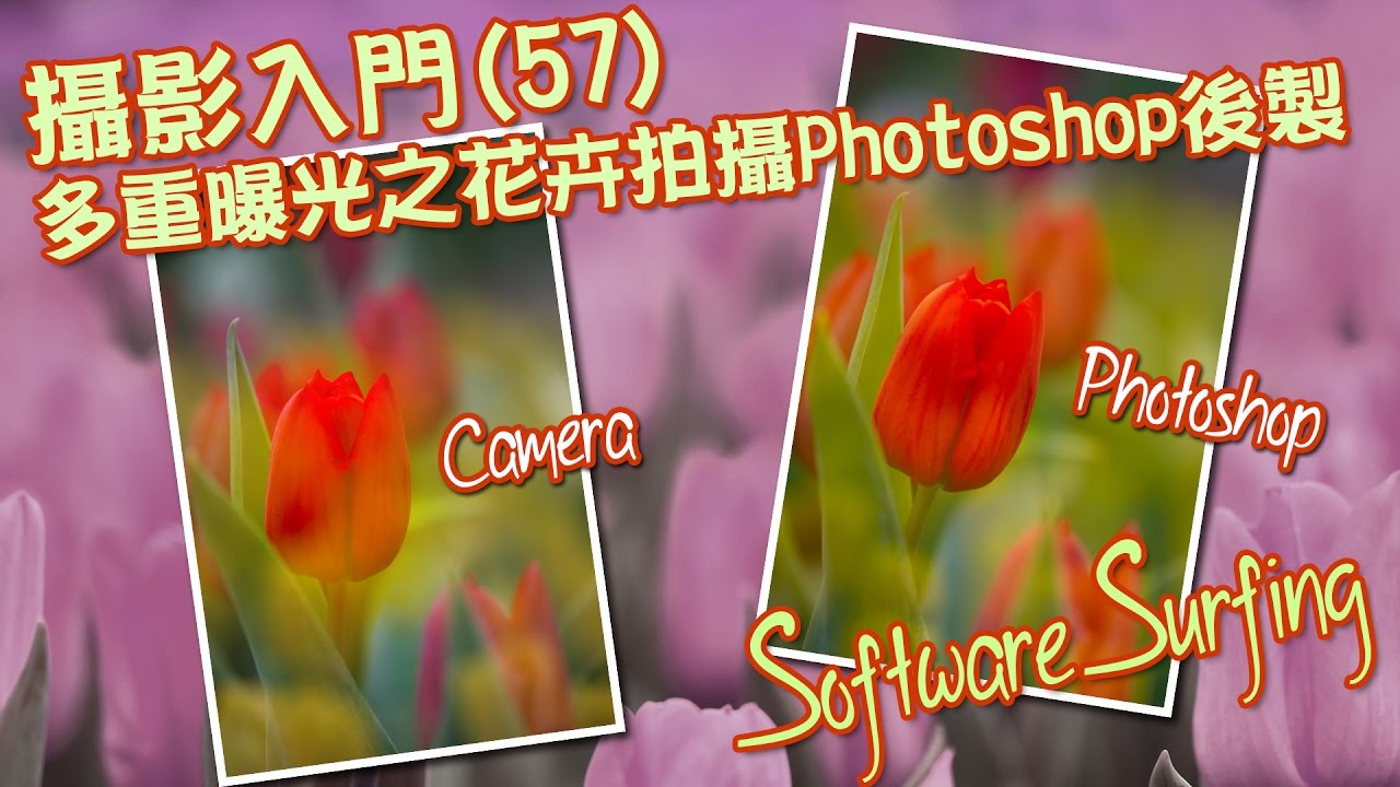 攝影入門(57)多重曝光(Multiple Exposure)之花卉拍攝 Photoshop 後製技巧(Software Surfing 180)