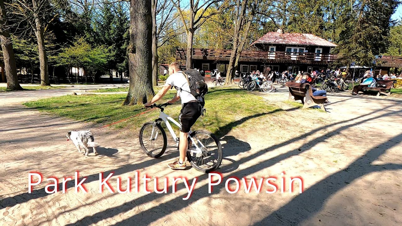 Powsin, Park Kultury Powsin, ogr&oacute;d botaniczny ogr&oacute;d światel park linowy ogr&oacute;d
