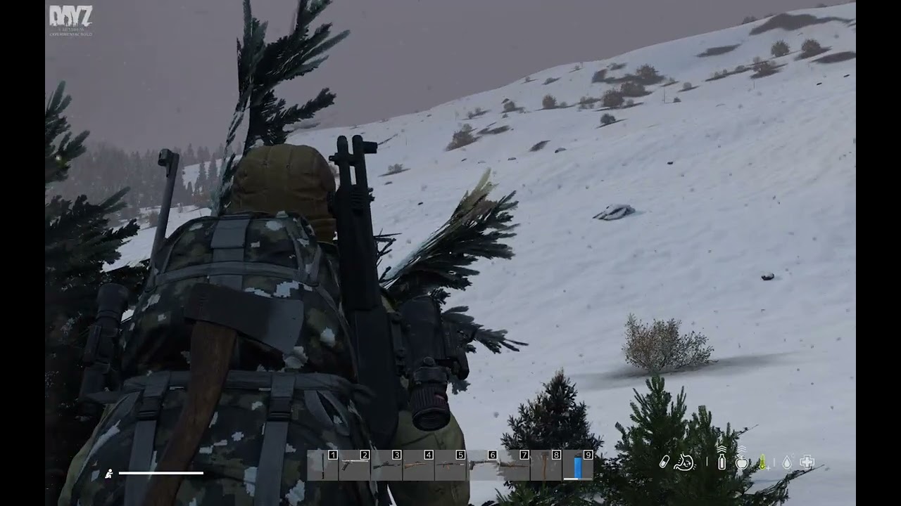 DayZ Exp 1.28