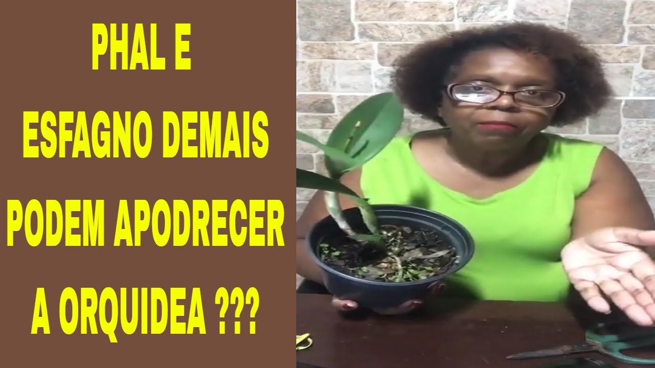 PARA USAR ESFAGNO &Eacute; PRECISO TER CONTROLE DE REGA!!!
