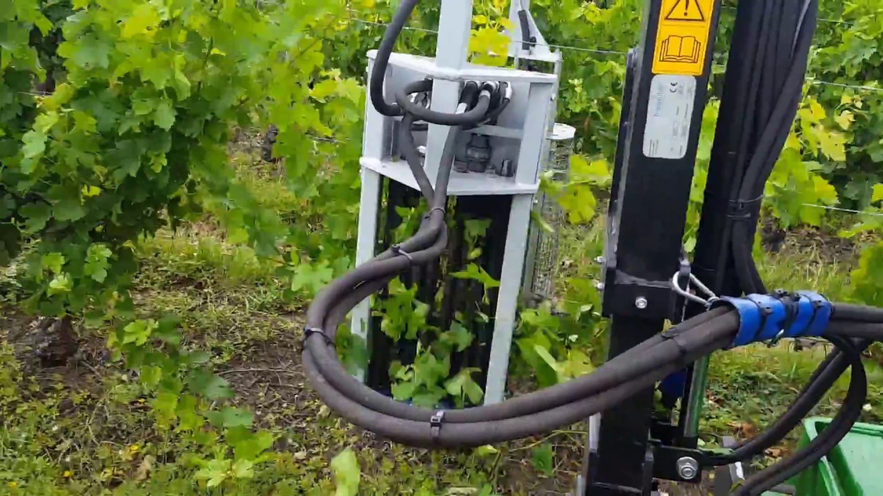 Effeuilleuse , deleafer , defogliatrice , Entlauber in  Viticulture.