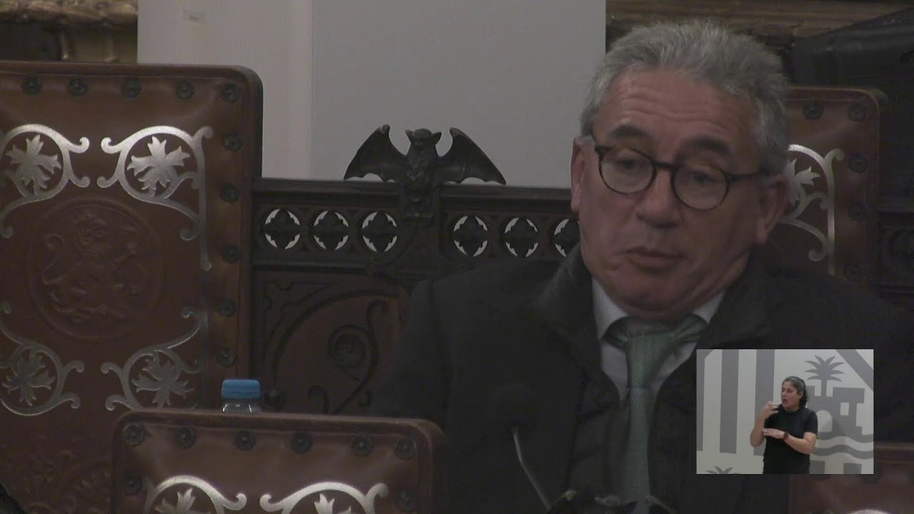 Ajuntament de Palma en directe