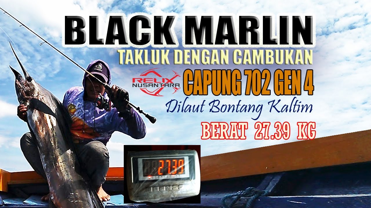 BLACK MARLIN 27.39 KG ❗️❗️TAKLUK DENGAN JORAN CAPUNG 702 GEN 4.