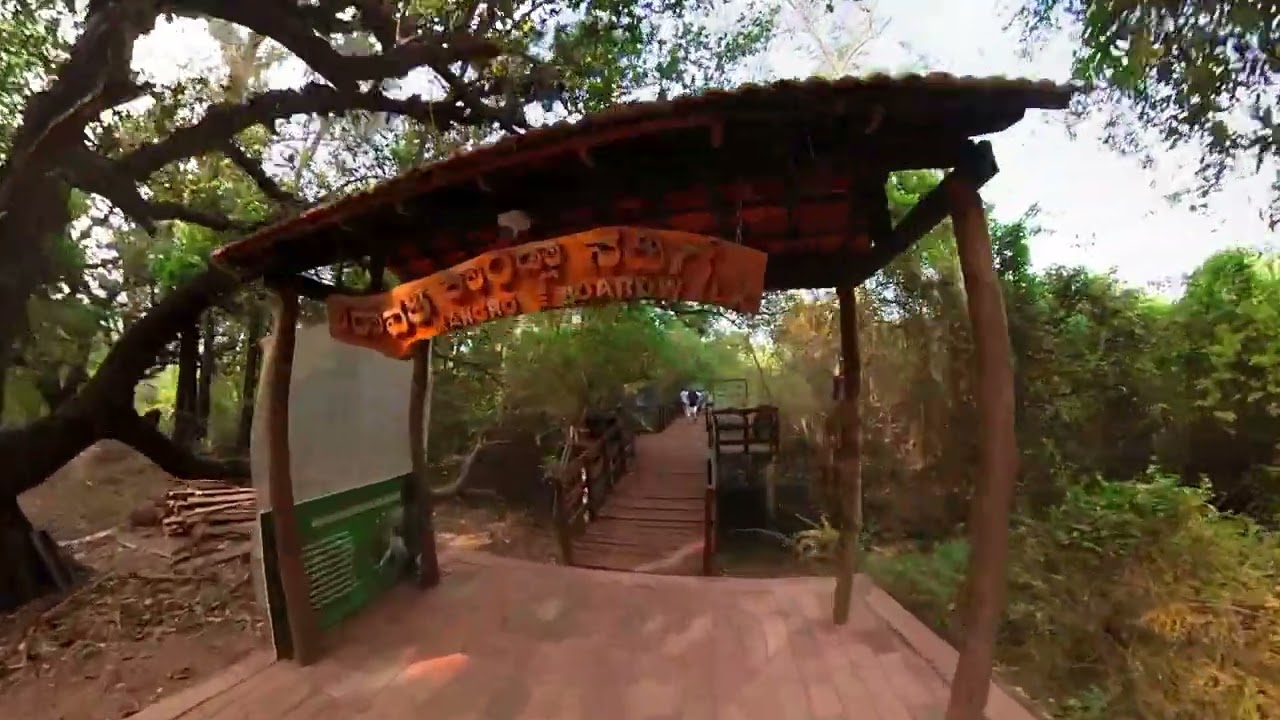 Sharavathi kandla mangrove boardwalk & Eco beach