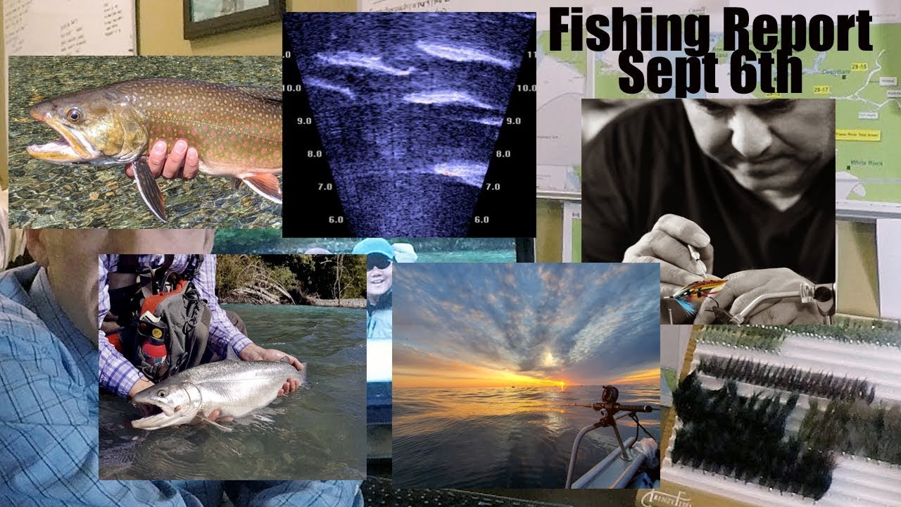 Pacific Angler's Friday Fishing Report - Sept 6th