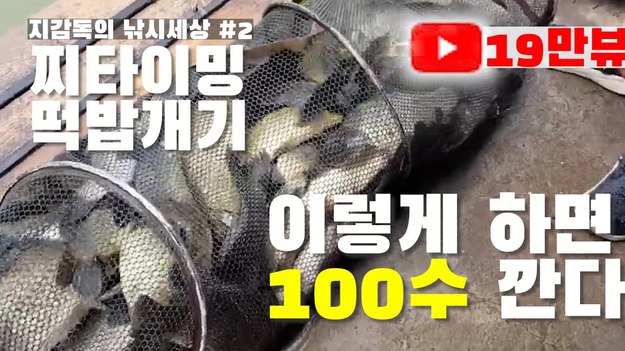 지감독의 낚시세상 #2. 100수 비법 대공개!!
