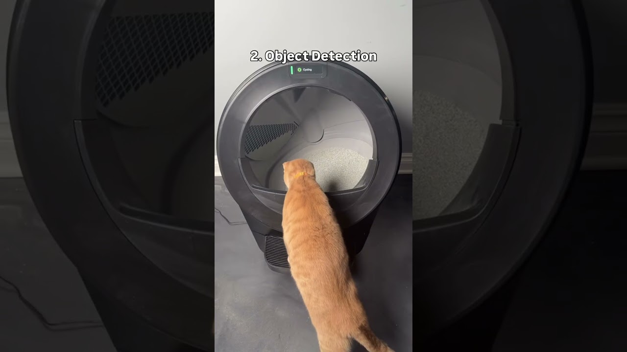 Мои впечатления от нового Litter Robot 5 после 3 месяцев использования… 🤔