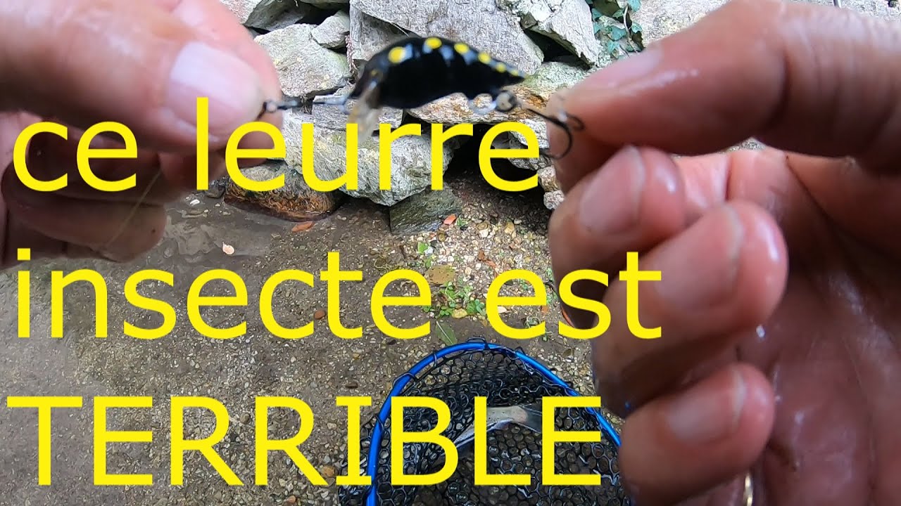 PECHE TRUITE ULTRA LEGER AU  LEURRE INSECTE