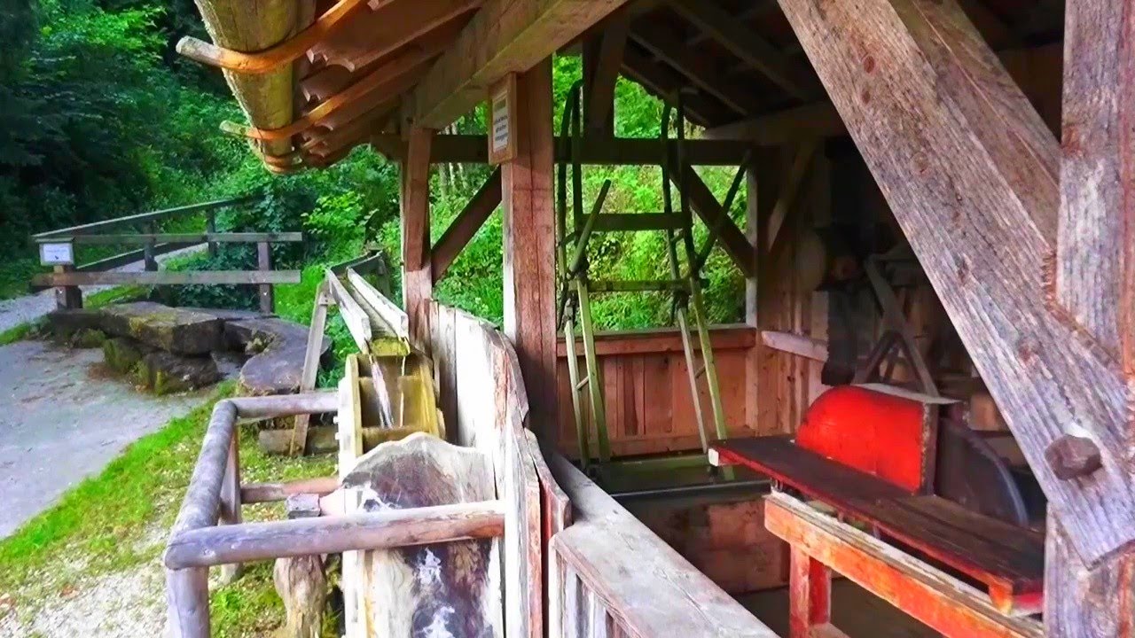 🐤⛓💦 водяная мельница в лесу 8 часов Франция птица звук воды мельница пение птиц машина